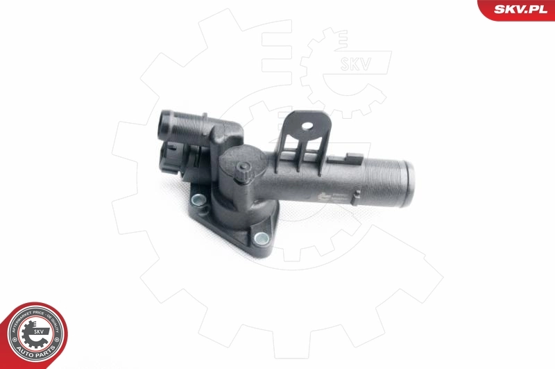 Thermostat, coolant